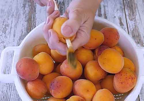 Варенье из абрикосов без косточек на зиму